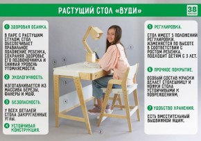 Комплект растущий стол и стул с чехлом 38 попугаев «Вуди» (Белый, Береза, Ромбы) в Асбесте - asbest.mebel-74.com | фото
