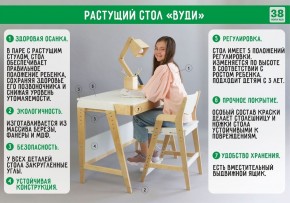 Комплект растущий стол и стул с чехлом 38 попугаев «Вуди» (Серый, Береза, Ромбы) в Асбесте - asbest.mebel-74.com | фото