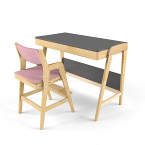 Комплект растущий стол и стул с чехлом 38 попугаев «Вуди» (Серый, Береза, Розовый) в Асбесте - asbest.mebel-74.com | фото