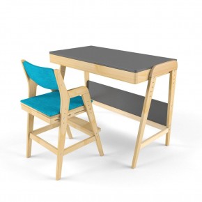 Комплект растущий стол и стул с чехлом 38 попугаев «Вуди» (Серый, Без покрытия, Лазурь) в Асбесте - asbest.mebel-74.com | фото