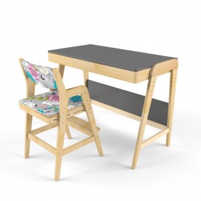 Комплект растущий стол и стул с чехлом 38 попугаев «Вуди» (Серый, Без покрытия, Мечта) в Асбесте - asbest.mebel-74.com | фото