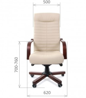 Кресло для руководителя CHAIRMAN 480 N WD (Экокожа) в Асбесте - asbest.mebel-74.com | фото