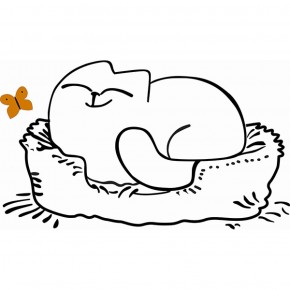 Кровать двухуровневая Кот № 900.1 ЛЕВАЯ (туя светлая/белый) в Асбесте - asbest.mebel-74.com | фото