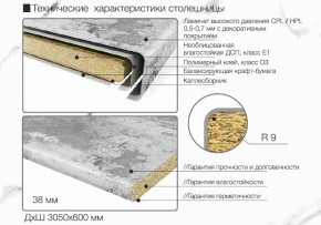 Кухонный фартук со столешницей (А-012) в едином стиле (3050 мм) в Асбесте - asbest.mebel-74.com | фото