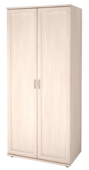 Шкаф для одежды 2-х дверный Ника-Люкс 21 в Асбесте - asbest.mebel-74.com | фото