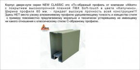 Шкаф-купе 1500 серии NEW CLASSIC K4+K4+B2+PL4 (2 ящика+F обр. штанга) профиль «Капучино» в Асбесте - asbest.mebel-74.com | фото