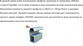 Шкаф-купе 1500 серии SILVER S5+S5+B2+PL3 (2 ящика+2 штанги) профиль «Серебро» в Асбесте - asbest.mebel-74.com | фото