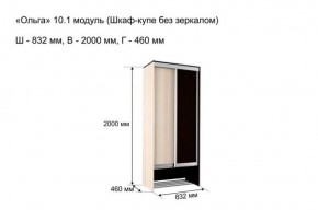 Шкаф купе без зеркала "Ольга 10.1" в Асбесте - asbest.mebel-74.com | фото
