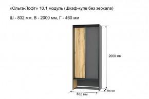 Шкаф купе без зеркала "Ольга-Лофт 10.1" в Асбесте - asbest.mebel-74.com | фото