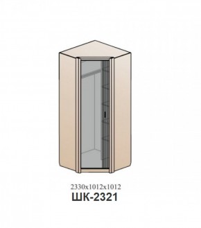 Шкаф ШЕР Дуб серый/айронвуд серебро (ШК-2321) в Асбесте - asbest.mebel-74.com | фото