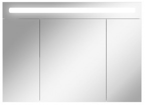 Шкаф-зеркало Аврора 100 с подсветкой LED Домино (DV8012HZ) в Асбесте - asbest.mebel-74.com | фото