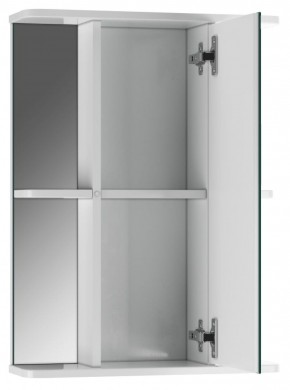 Шкаф-зеркало Норма 2-50 правый АЙСБЕРГ (DA1608HZ) в Асбесте - asbest.mebel-74.com | фото