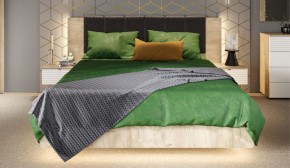 Спальня Джулия Кровать 160 МИ с подъемным механизмом Дуб крафт серый в Асбесте - asbest.mebel-74.com | фото