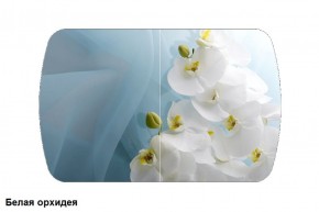 Стол Бостон 900*600 (опоры Брифинг) Стекло/фотопечать Белая Орхидея в Асбесте - asbest.mebel-74.com | фото